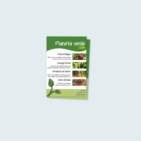 Folleto flyer 10 x 15 cm